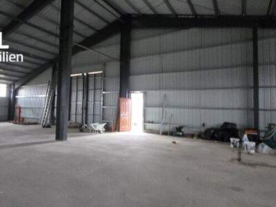 Lager kaufen in 2272 Ringelsdorf (Bild 3)
