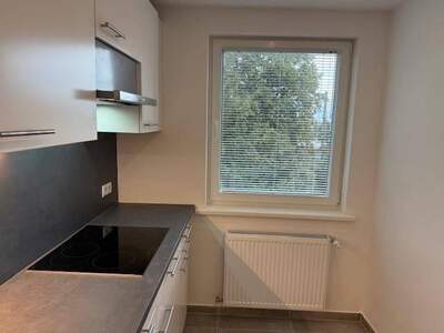 Wohnung provisionsfrei mieten in 1210 Wien