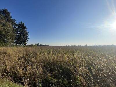 Grundstück kaufen in 8054 Seiersberg (Bild 2)