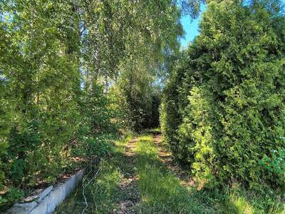 Haus kaufen in 3872 Amaliendorf (Bild 4)