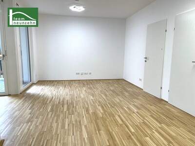 Terrassenwohnung mieten in 1230 Wien (Bild 2)
