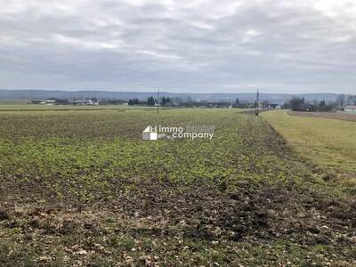 Grundstück kaufen in 8380 Jennersdorf