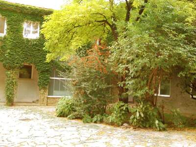 Wohnung mieten in 3430 Tulln (Bild 5)