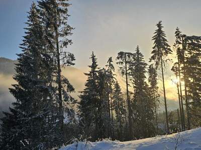 Wohnung kaufen in 2680 Semmering (Bild 5)