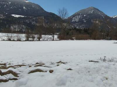 Grundstück kaufen in 9771 Berg (Bild 3)