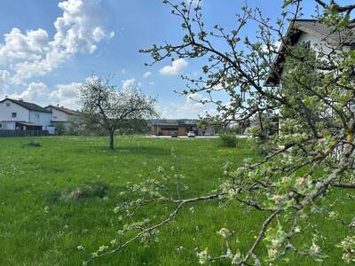 Grundstück kaufen in 5231 Mattighofen