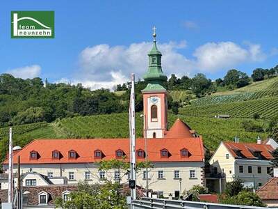 Terrassenwohnung mieten in 1190 Wien (Bild 5)