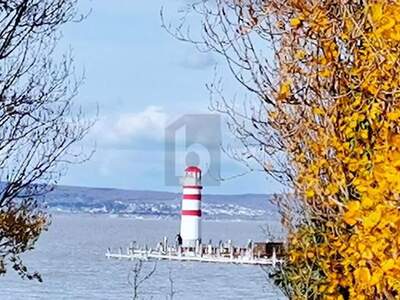 Grundstück kaufen in 7141 Podersdorf