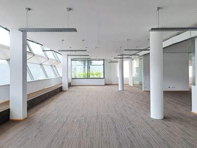 Gewerbeobjekt mieten in 1210 Wien (Bild 5)