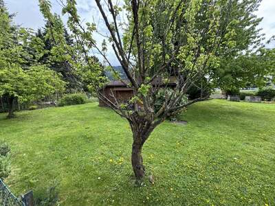 Grundstück kaufen in 6060 Hall (Bild 3)