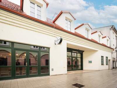 Immobilie kaufen in 2700 Wiener Neustadt