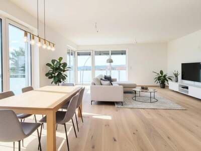 Anlageobjekt kaufen in 3500 Krems