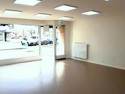 Gewerbeobjekt mieten in 2544 Leobersdorf (Bild 2)