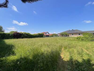 Grundstück kaufen in 8431 Gralla (Bild 2)