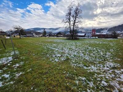 Grundstück kaufen in 9344 Weitensfeld (Bild 1)