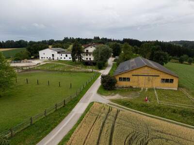 Gewerbeobjekt kaufen in 4600 Gunskirchen (Bild 2)