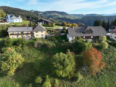 Gewerbeobjekt kaufen in 9112 Griffen (Bild 1)