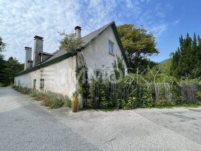 Grundstück kaufen in 2754 Waldegg (Bild 1)