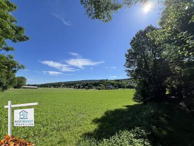 Grundstück kaufen in 2821 Lanzenkirchen