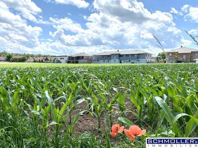 Gewerbeobjekt kaufen in 4623 Gunskirchen (Bild 1)