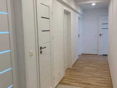 Apartment provisionsfrei mieten in 1020 Wien