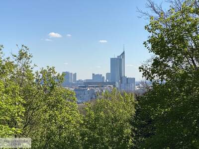 Wohnung mit Balkon mieten in 1190 Wien (Bild 5)