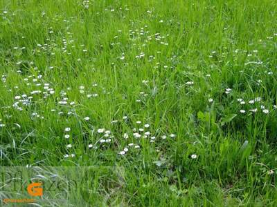 Grundstück mieten in 5202 Neumarkt