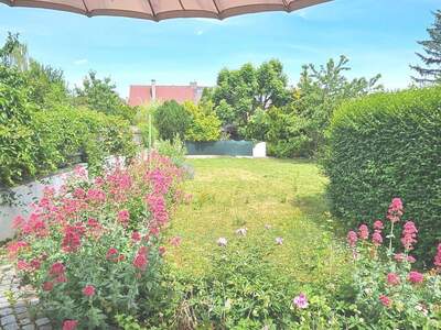 Haus kaufen in 2551 Enzesfeld (Bild 5)