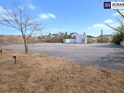 Grundstück kaufen in 2542 Kottingbrunn (Bild 3)