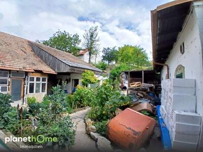 Haus kaufen in 2464 Göttlesbrunn (Bild 4)