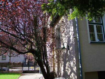 Haus mit Garten kaufen in 2500 Baden (Bild 2)