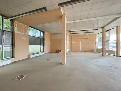 Gewerbeobjekt mieten in 1230 Wien (Bild 3)