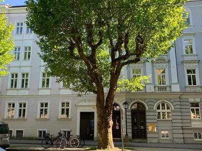 Gewerbeobjekt mieten in 5020 Salzburg