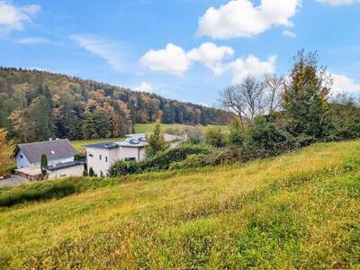 Grundstück kaufen in 8075 Hart (Bild 4)