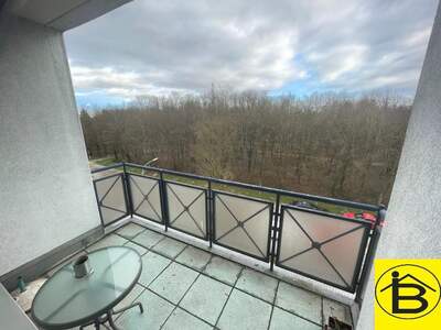 Terrassenwohnung mieten in 3100 St. Pölten (Bild 2)