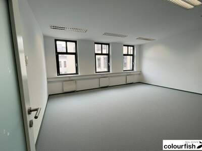 Gewerbeobjekt mieten in 1040 Wien (Bild 5)