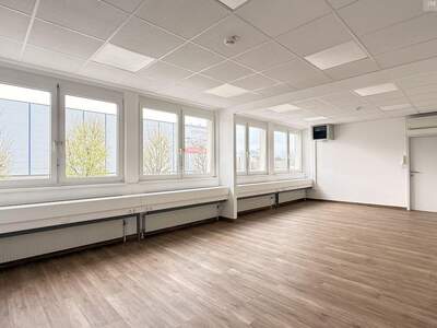Gewerbeobjekt mieten in 2320 Schwechat (Bild 1)