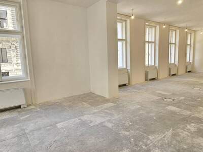 Gewerbeobjekt mieten in 1010 Wien