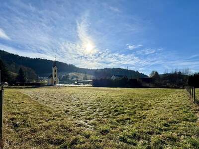 Grundstück kaufen in 8330 Oberweißenbach (Bild 2)