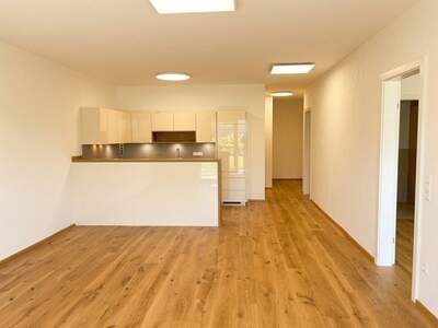 Wohnung mit Balkon kaufen in 9811 Lendorf (Bild 2)