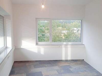 Gewerbeobjekt mieten in 4882 Oberwang (Bild 5)