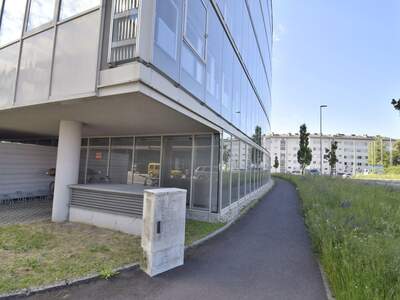 Gewerbeobjekt mieten in 4040 Linz (Bild 3)
