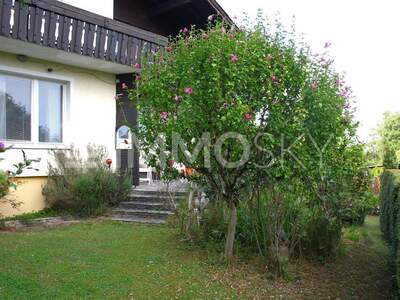 Einfamilienhaus kaufen in 4600 Thalheim (Bild 2)