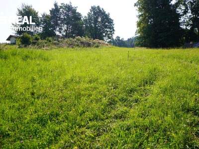 Grundstück kaufen in 3962 Heinrichs (Bild 4)