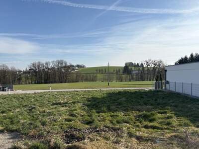 Grundstück kaufen in 4921 Hohenzell