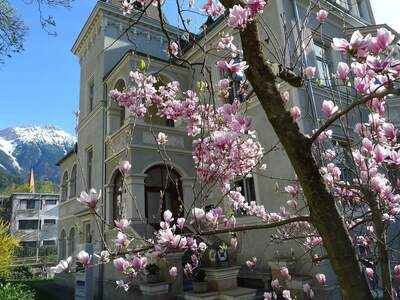Gewerbeobjekt mieten in 6020 Innsbruck (Bild 3)