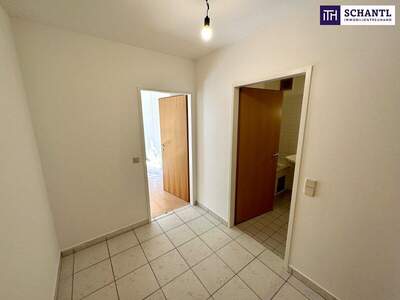 Wohnung kaufen in 1100 Wien (Bild 4)