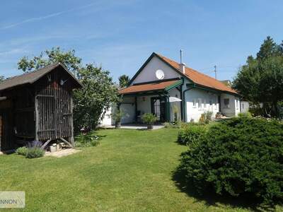 Haus kaufen in 7163 Andau