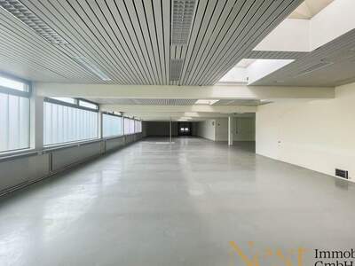 Gewerbeobjekt mieten in 4061 Pasching (Bild 2)