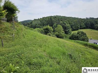 Grundstück kaufen in 8075 Hart (Bild 2)